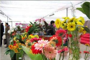 農業高科技示范園區